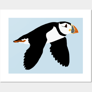 Puffin Science Posters and Art